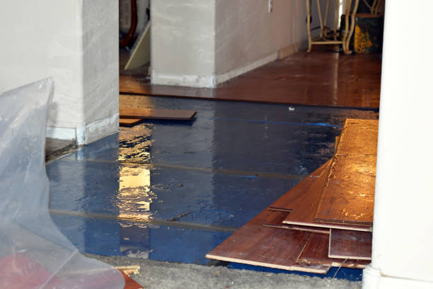 Professional Burst Pipe Cleanup technician working in East Jewett, NY